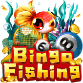 Cau Ca Bingo - Debet BH
